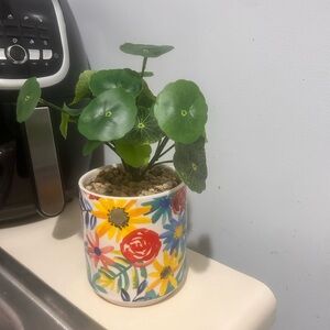 Colorful Floral Planter with Green Plant